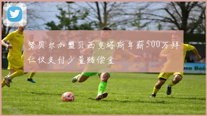 努贝尔加盟贝西克塔斯年薪500万拜仁仅支付少量赔偿金